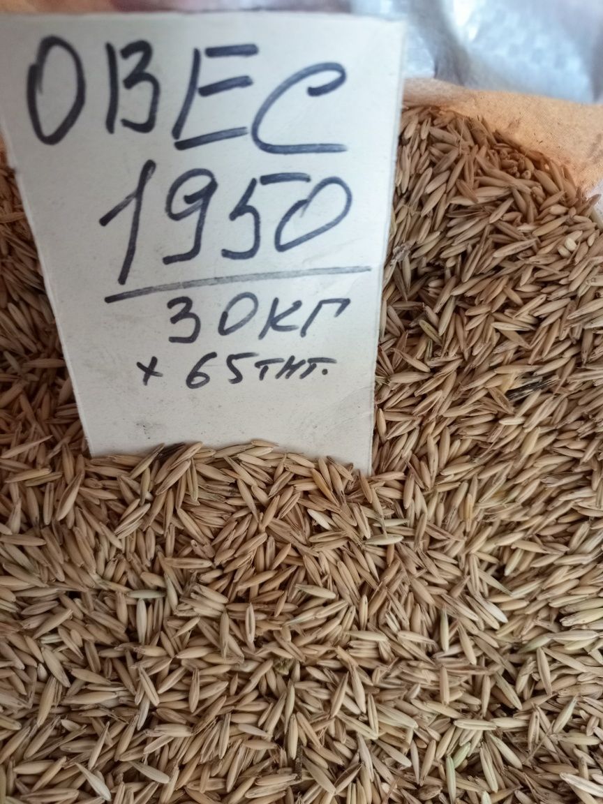 Уголь в мешках Каражара орех, Шубарколь,