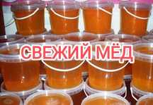 Натуральный свежий мёд 2023 года