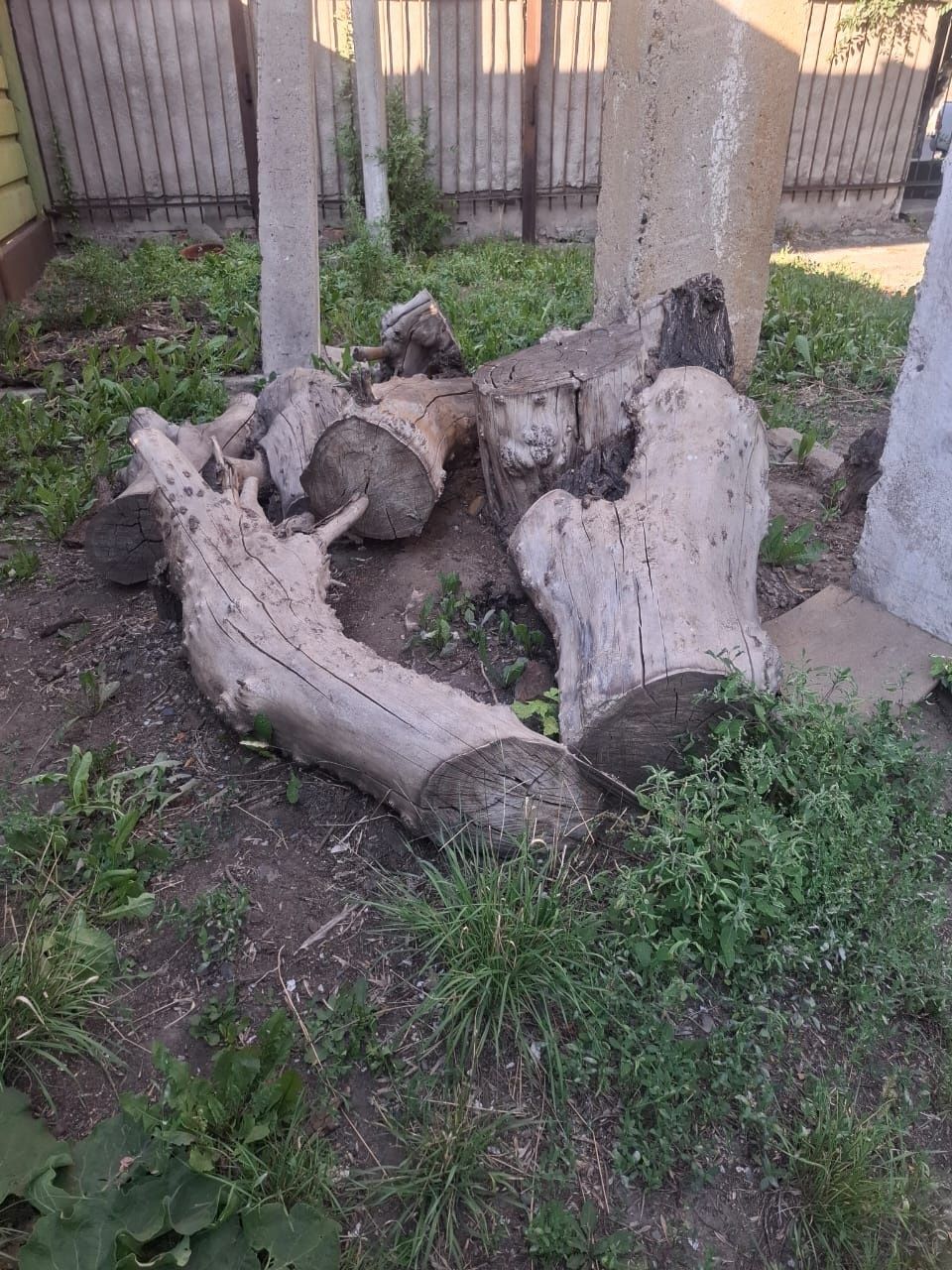 Дрова бесплатно!