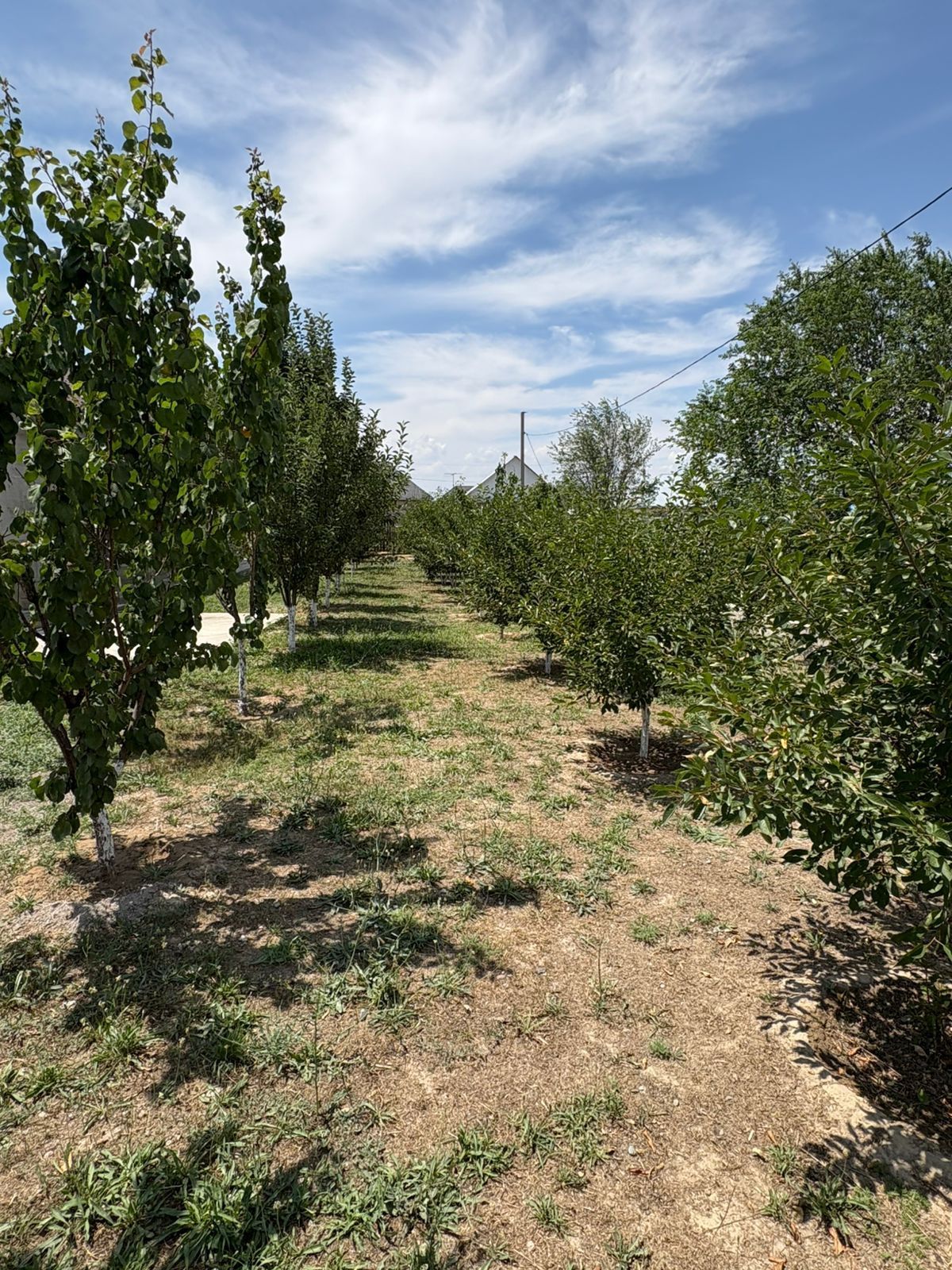Продам дом 9 соток
