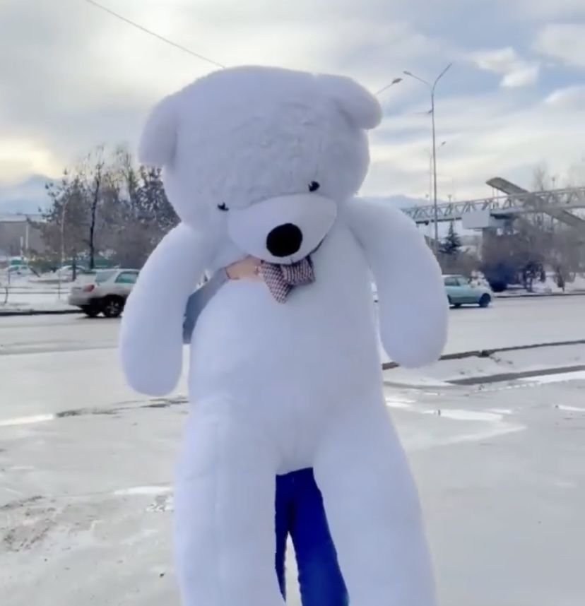 Большой плюшевый мишка 200см