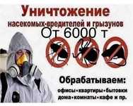 От 6000 тенге Дезинфекция от таракан клопов от 7000 тенге