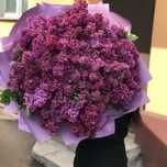 Сирень Букет из сирени Свежый срез