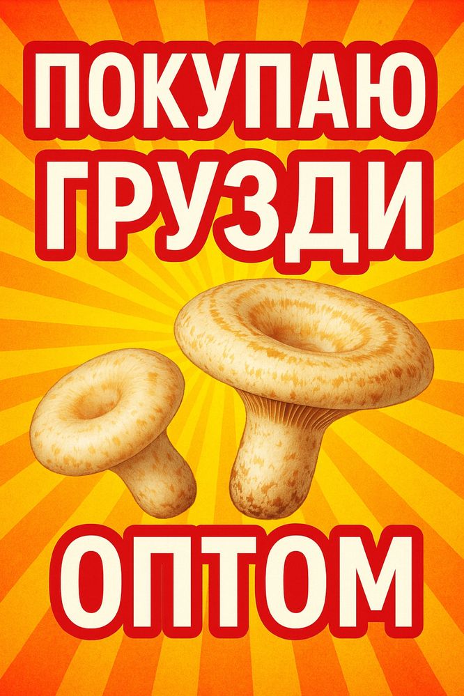 Купим.Грузди соленые оптом.