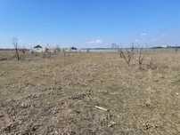 участок 1,34  гектар( продажа обмен на авто)