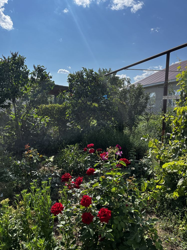Продам Дом в районе Мичурино