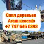 Спил деревьев 24/7 обрезка вывоз формовка