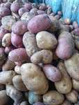 Продам дачный картофель
