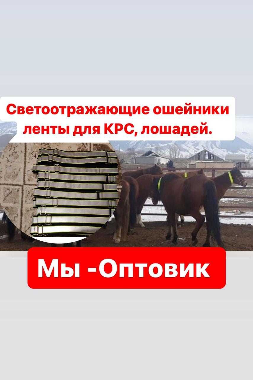 Светоотражающий ошейник  лента для КРС