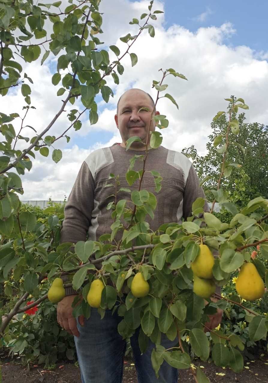 Продам Дачу Мечты в ПК СТ Борки