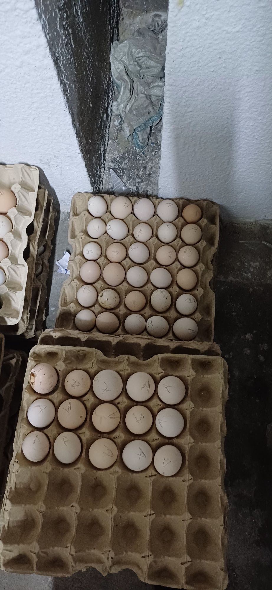 Продам домашние яйца лоток 2000 ,30 штук