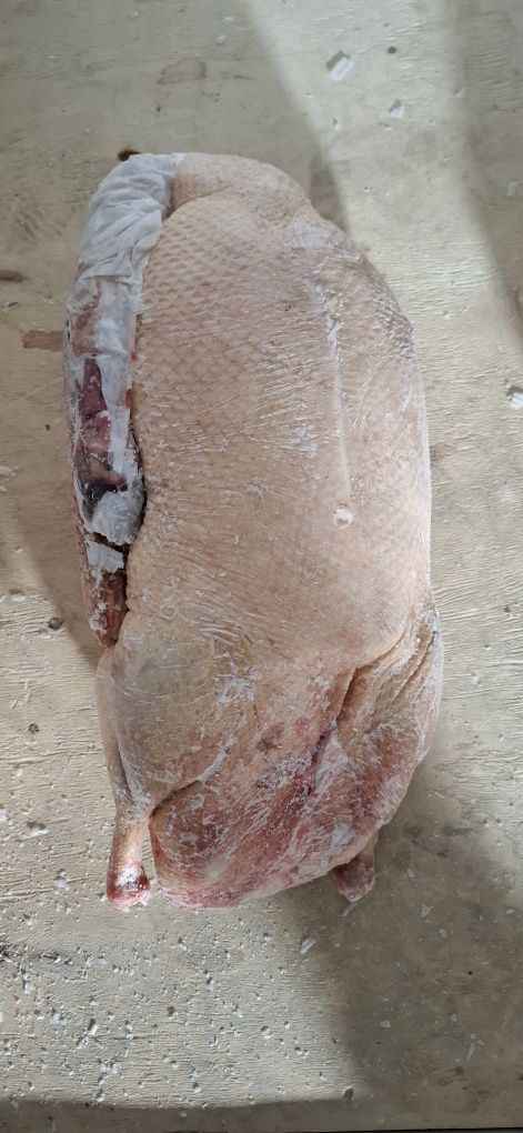 Продам домашний замороженные гусь утка