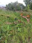 Продам грабли-ворошилку , 4 колеса
