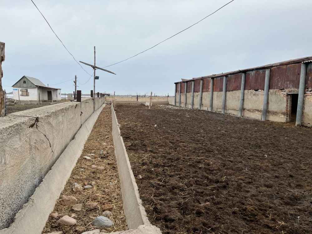Продается жилой дом 32 кв. (Плюс Скотовод. База)