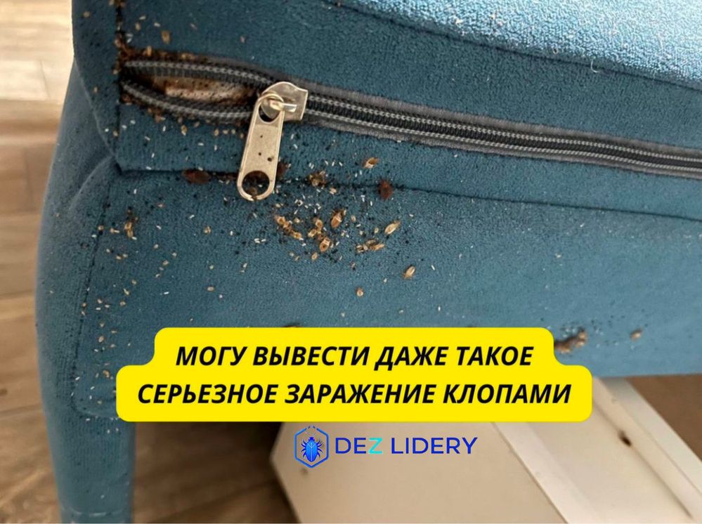Дезинфекция уничтожение насекомых таракан клоп қандала мышей жук