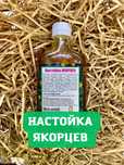 Якорцы настойка для мужского здоровья