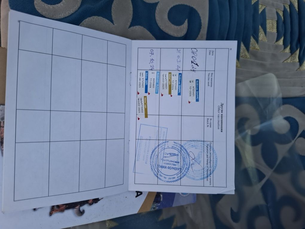 Продам собаку кавказская овшарка 1,5 годика имеется вся документы имее