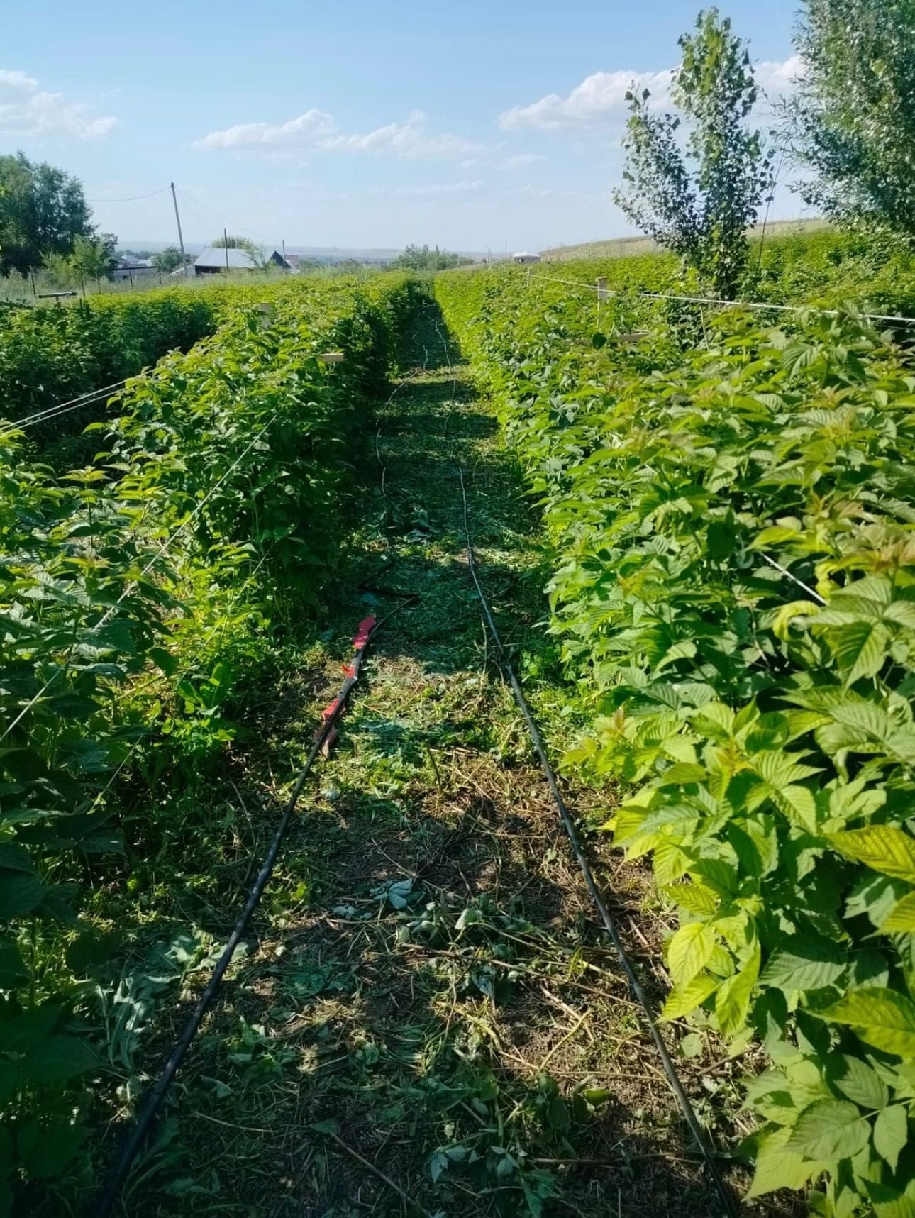 Продам земельный участок, в п.Каргалы (Фабричный)