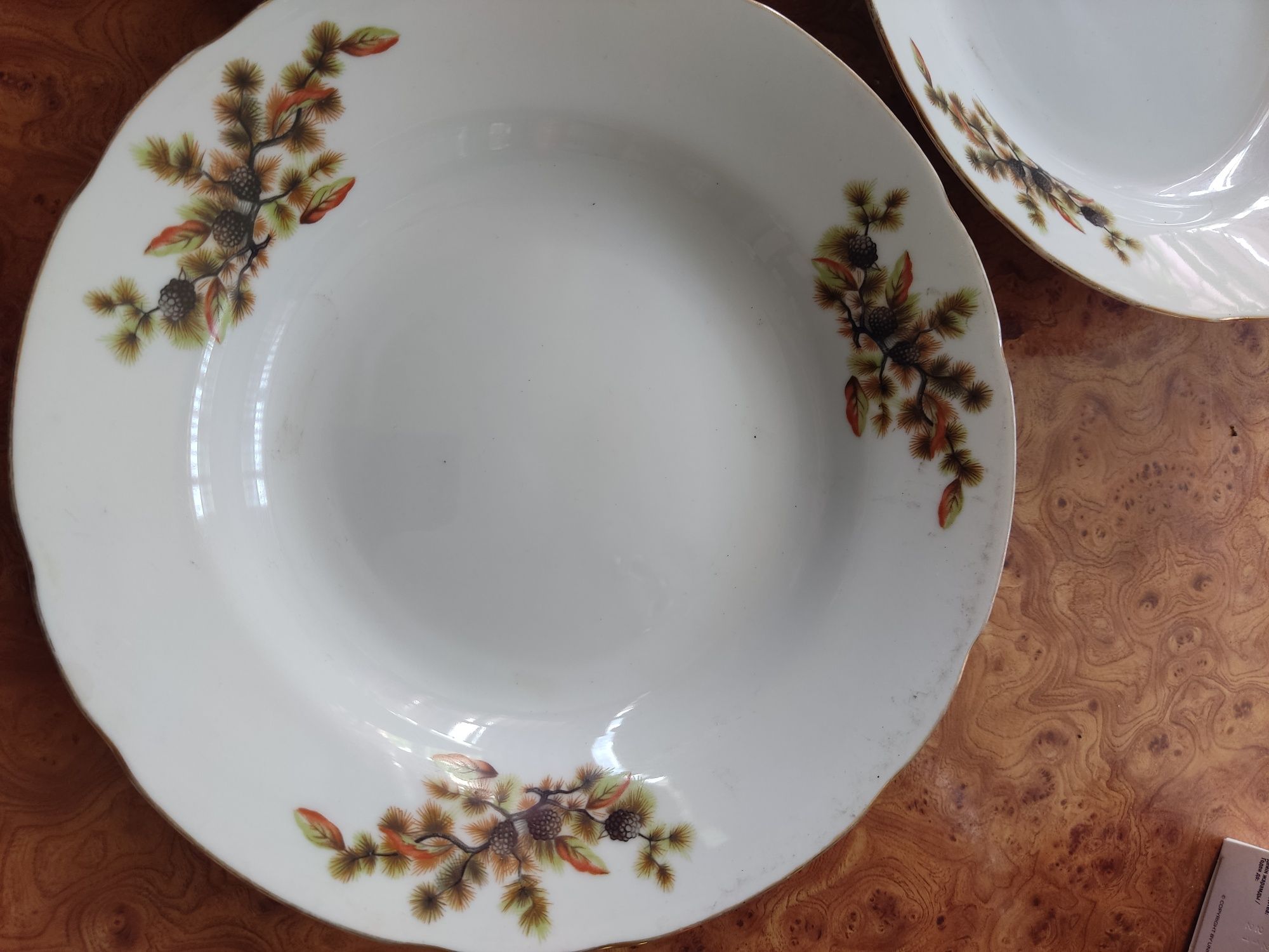 Капроновые банки ,тарелки, рюмки, стаканы и салатницы.