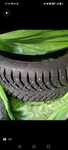 Nokian Hakkapeliitta 9