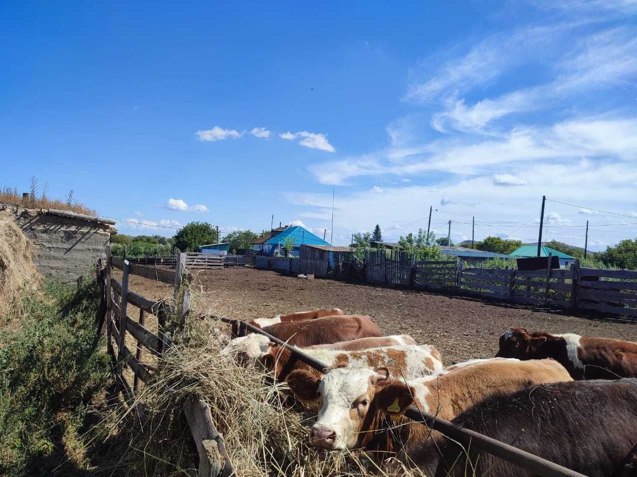 Продам часть дома