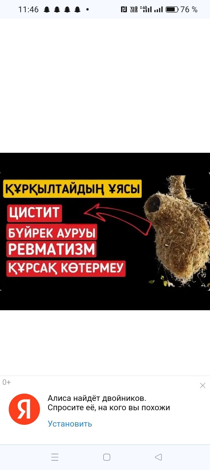 Гнездо ремеза лечебн