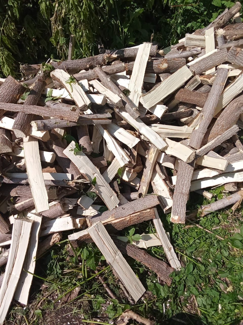 Продам сухие дрова клён колотые,