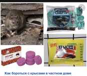 Средства для уничтожения крыс, мышей, тараканов, блох, клопов итд