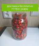 Шиповник дачный итмурын