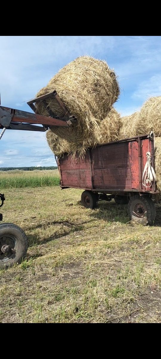Продам сено рулоны 120е. Есть платная доставка по два рулона на прицеп