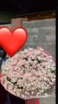 Спрей роза 77ветка даже по больше