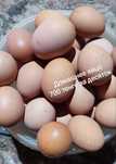 Продается свежее яйцо домашней курицы.