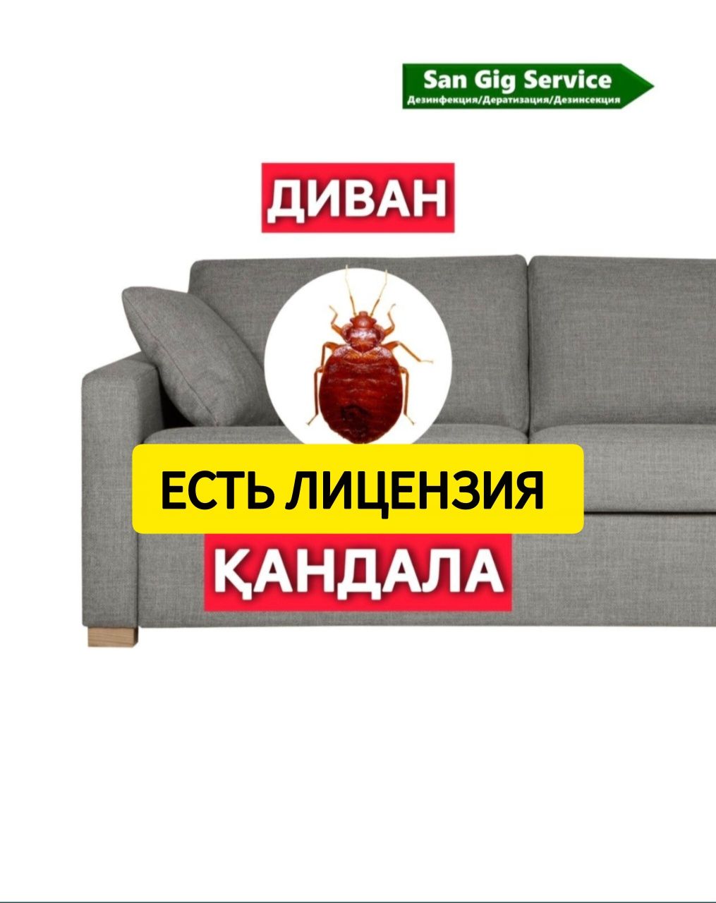 Уничтожение клопов и проведение дезинфекции