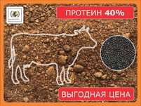 Шрот рапсовый (АСВ - 40%) с доставкой Алматы