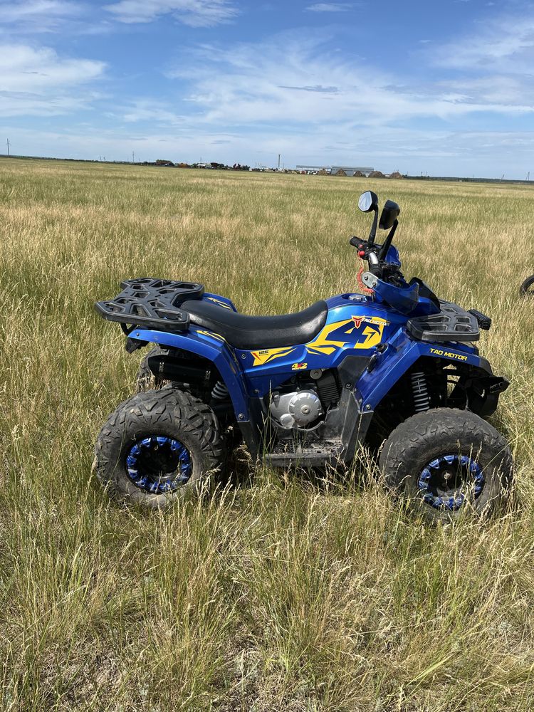 Квадроцикл TAO MOTOR 125