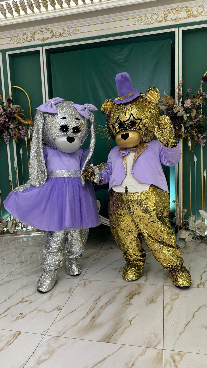 Костюм аниматоры