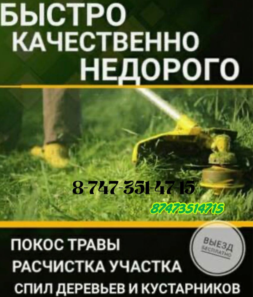 Покос травы спил деревьев