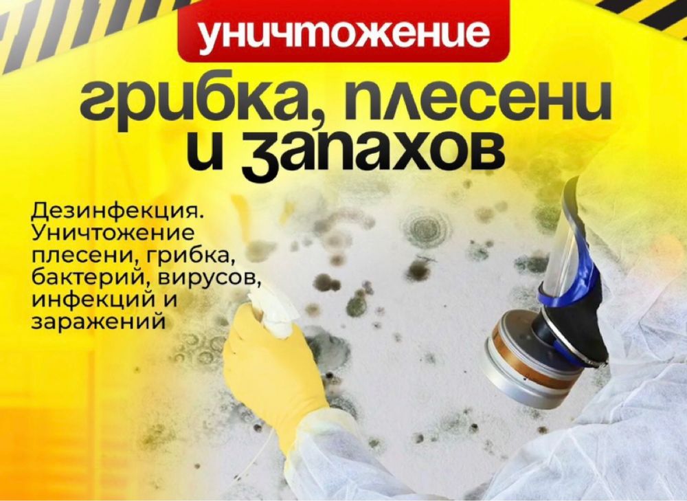 Дезинфекция уничтожение от тараканов клопов блох крыс мышей Обработка