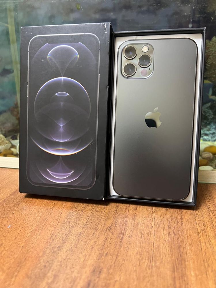 Айфон 12 pro iphone
