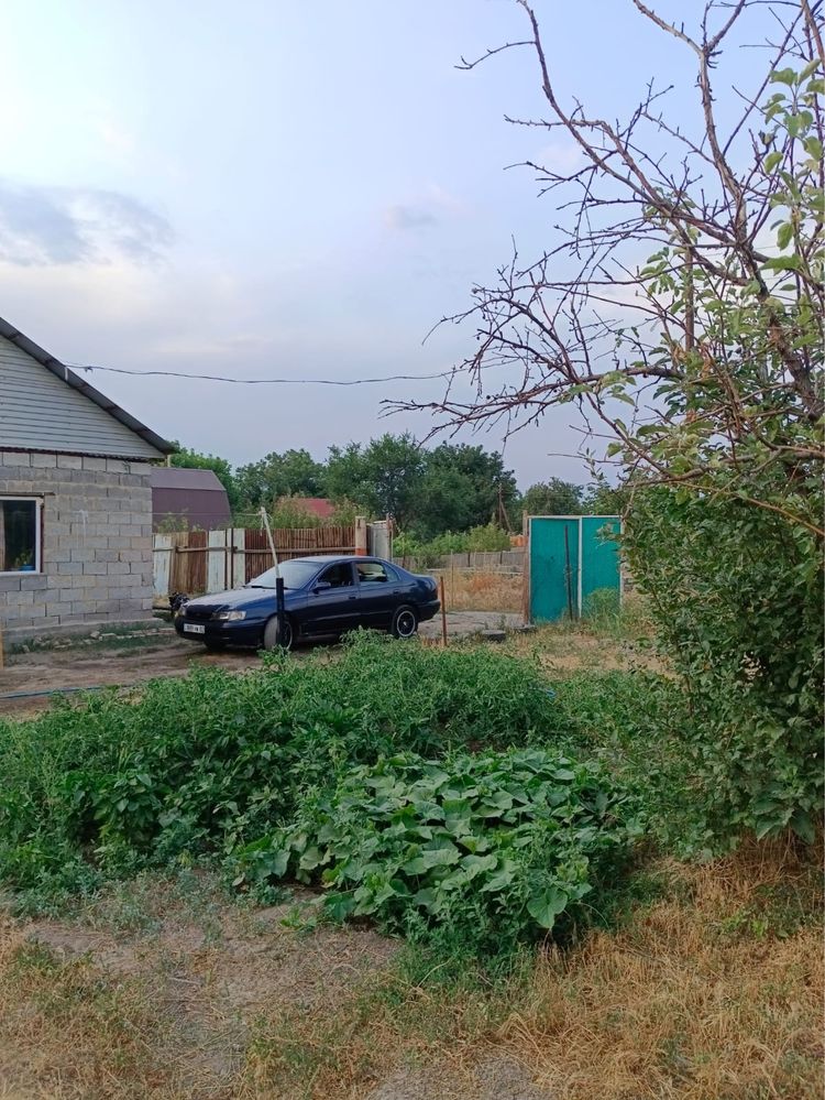 Дом-дача срочно продам
