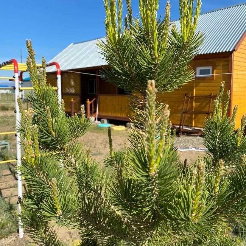 Продам дом на побережье бухтарминского водохранилища район песчанки