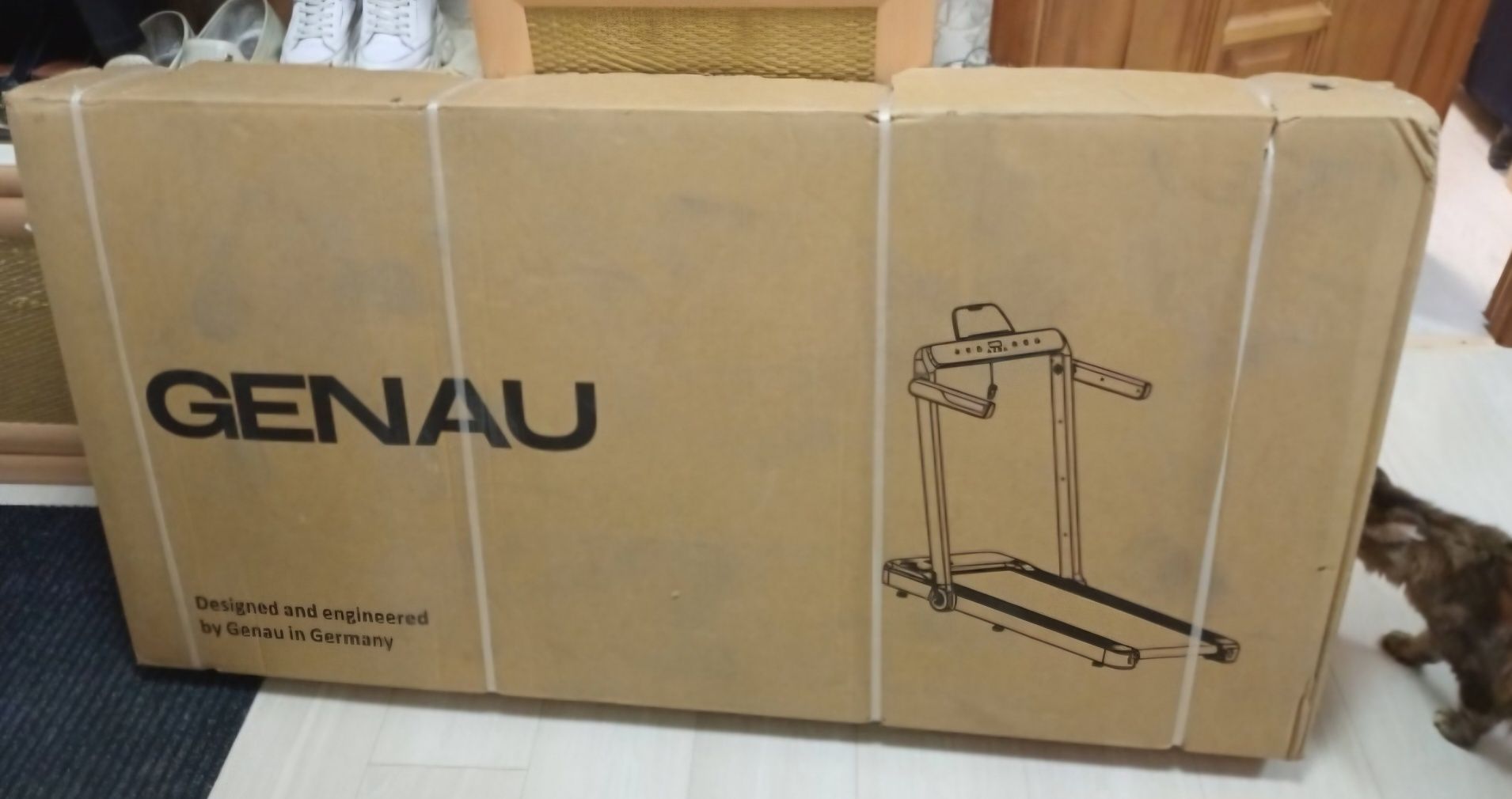Беговая дорожка Genau