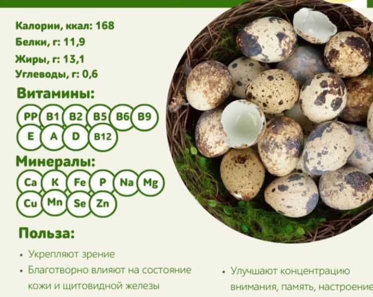 Перепелиные яйца и мясо