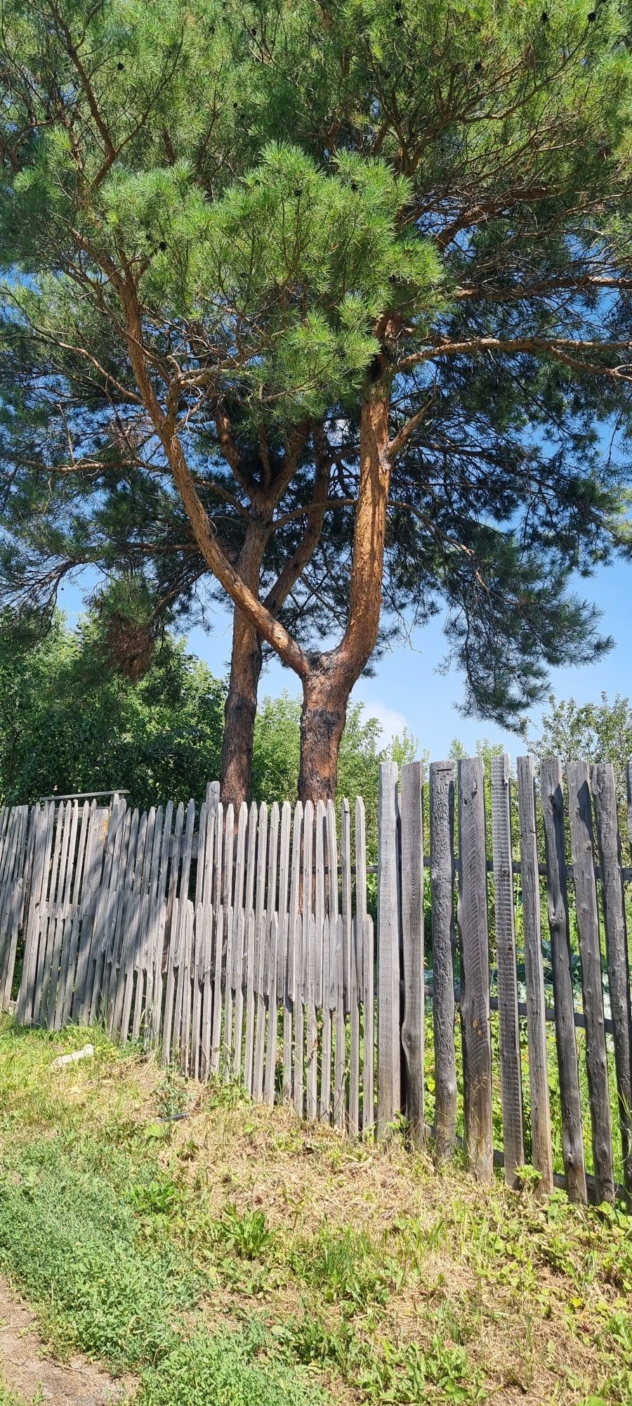 Продам дачу .Сад Здоровье.