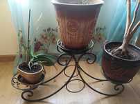 Кованые подставки для цветов