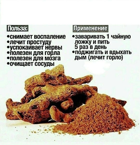 Кыст Аль Хинди корень Индийский молотый почки печень  очищение