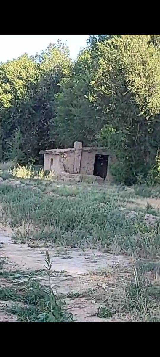 Трасса бойындағы ауылшаруашылық жер. (МемАкт, 2.3 га жалға 49 ж. 1993ж