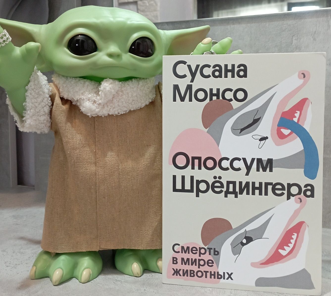 Продаются книги (новые) ч.о.