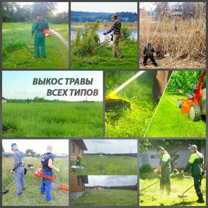 Скос травы , газон, спилим  деревья .