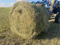 Продам сено, луговое разнотравье